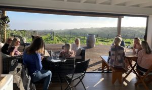 Wine Tasting on the Cliff with Falésia Wines