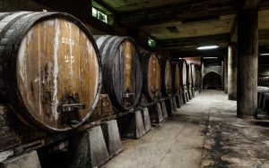 Visit to the Winery and Museum of ÚNICA – Algarve Cooperative Winery