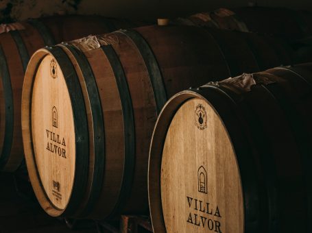 Prova de Vinhos em Villa Alvor