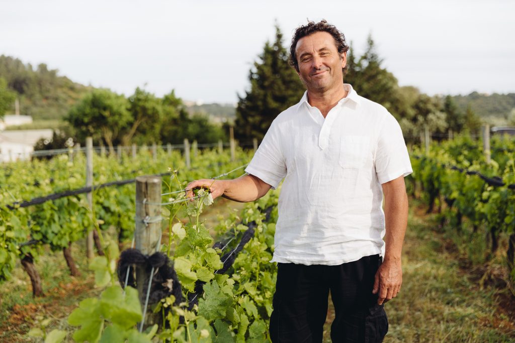 Visita e Prova acompanhada por Sommelier no Monte da Casteleja 1 Monte da Casteleja 34331 06052020 300dpi